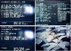 Screen shots from the first MACROSCOPE interactive laserdisc