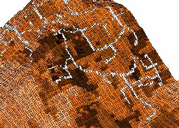 Fire hazard data layer for a section of Pine Cove, with darker colors indicating higher levels of flammable fuels