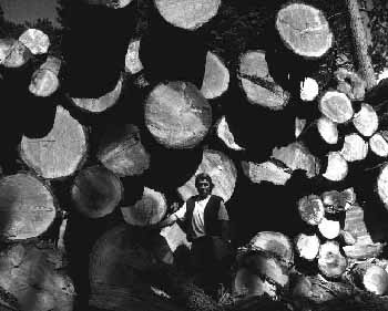 One of several log piles at the Black Mountain Group Campground